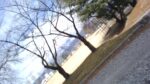 WIN_20210302_10_00_07_Pro.jpg