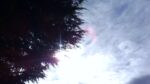 WIN_20210302_10_00_15_Pro.jpg