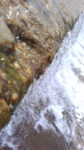 WIN_20210302_10_00_39_Pro.jpg