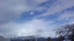 WIN_20210302_10_03_14_Pro.jpg