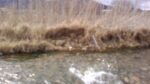 WIN_20210302_10_03_20_Pro.jpg