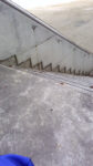 WIN_20210302_10_07_28_Pro.jpg