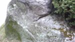 WIN_20210302_10_07_58_Pro.jpg