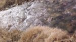 WIN_20210302_10_08_17_Pro.jpg