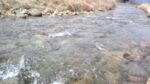 WIN_20210302_10_09_16_Pro.jpg
