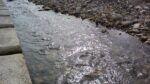 WIN_20210302_10_09_22_Pro.jpg
