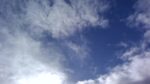 WIN_20210302_10_09_24_Pro.jpg