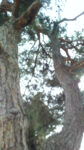 WIN_20210302_10_09_35_Pro.jpg