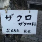 楽しい写真