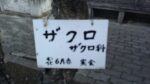 WIN_20210302_10_10_00_Pro.jpg