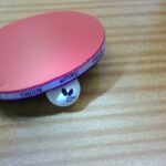 学校の自然