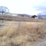 川