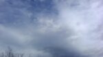 WIN_20210302_10_11_48_Pro.jpg
