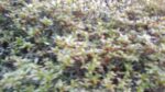 WIN_20210302_10_12_06_Pro.jpg