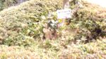 WIN_20210302_10_13_07_Pro.jpg