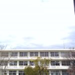 自然の木