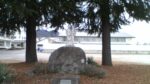 WIN_20210302_10_15_38_Pro.jpg