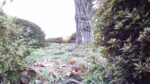 WIN_20210302_10_16_01_Pro.jpg
