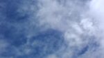 WIN_20210302_10_16_24_Pro.jpg