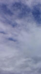 WIN_20210302_10_16_56_Pro.jpg