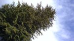 WIN_20210302_10_17_20_Pro.jpg