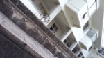 WIN_20210302_10_19_20_Pro.jpg