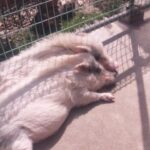 動物園